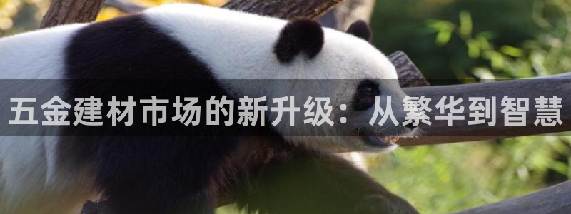 天狮娱乐非法吗