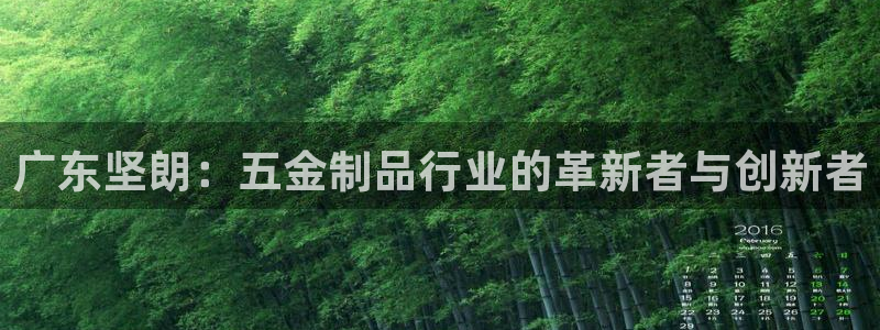 天狮娱乐- 招商
