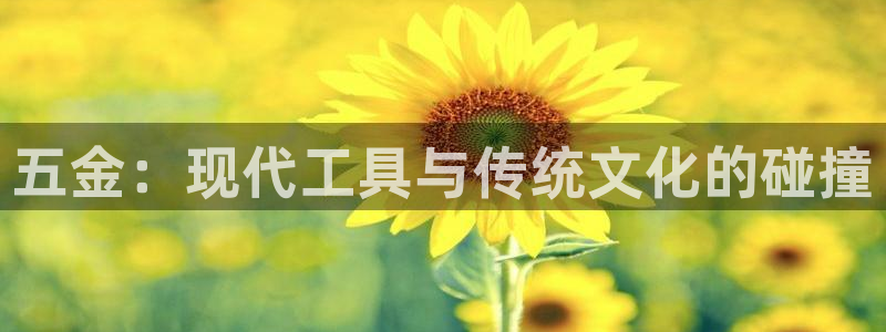 天狮娱乐成立