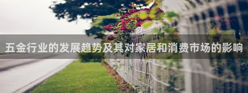 天狮娱乐运营