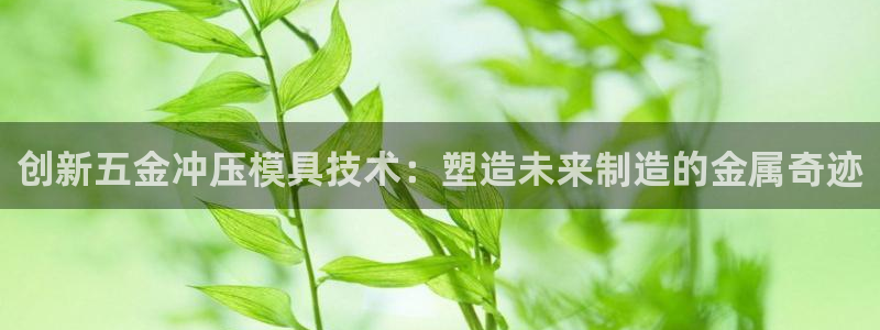 天狮娱乐招商帐7O777