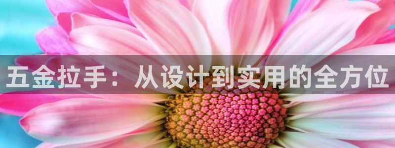 天狮娱乐招商66六26