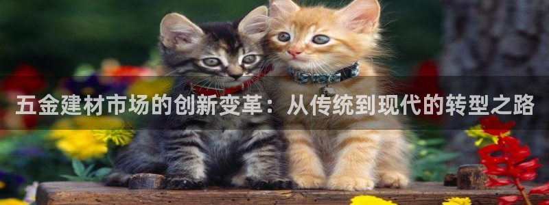 天狮娱乐是正规
