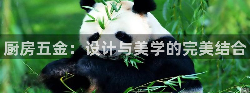 天狮娱乐真的吗