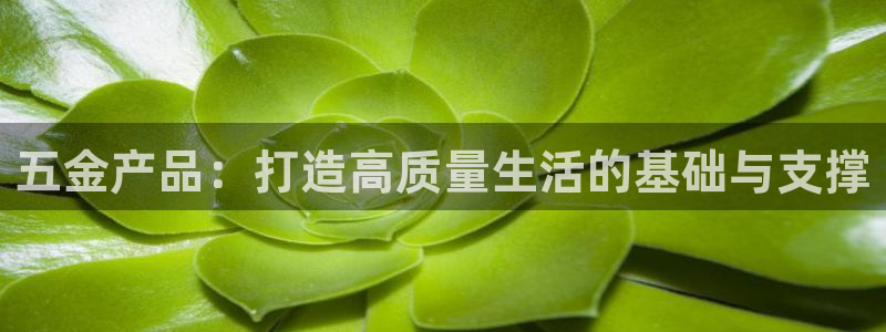 天狮娱乐网