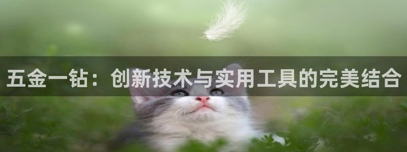 天狮娱乐平台贴吧
