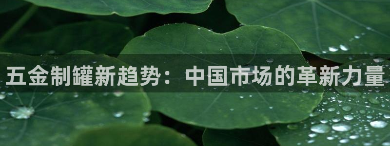天狮娱乐app