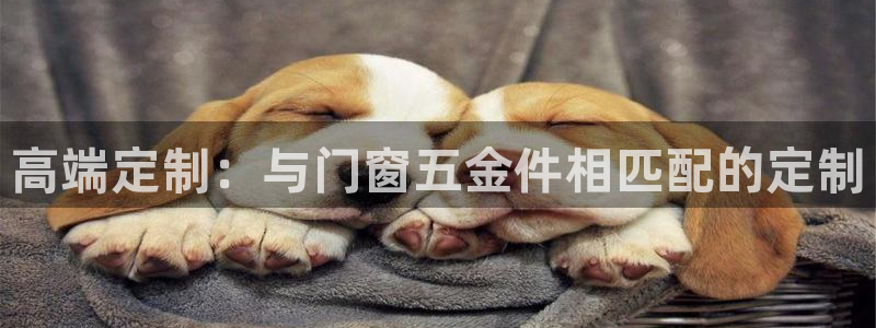 天狮娱乐代理最高多少