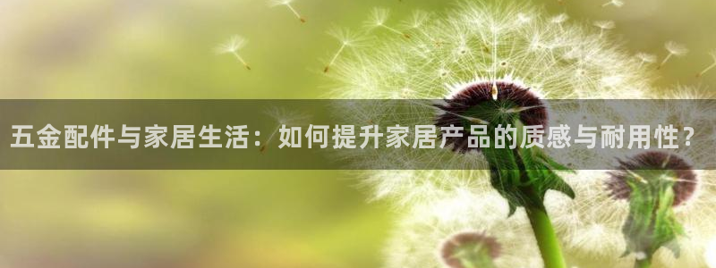 天狮娱乐i 判官