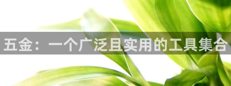 天狮娱乐官方网站下载