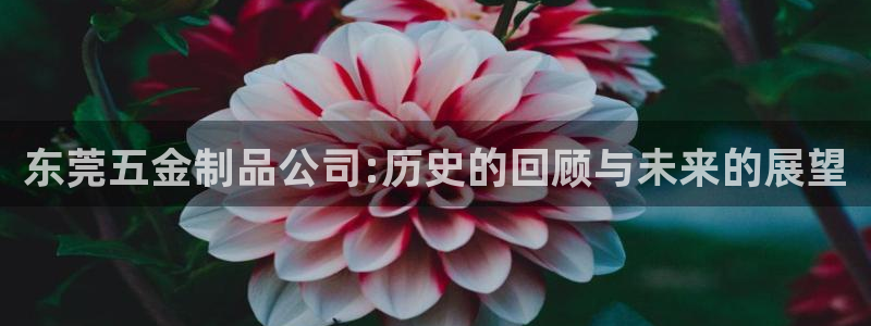 天狮娱乐39096股东