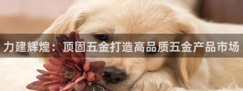 天狮娱乐主管57757