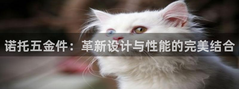 天狮娱乐客服电话