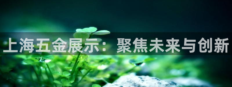 天狮娱乐怎样下载