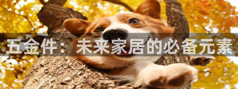 天狮娱乐客服电话