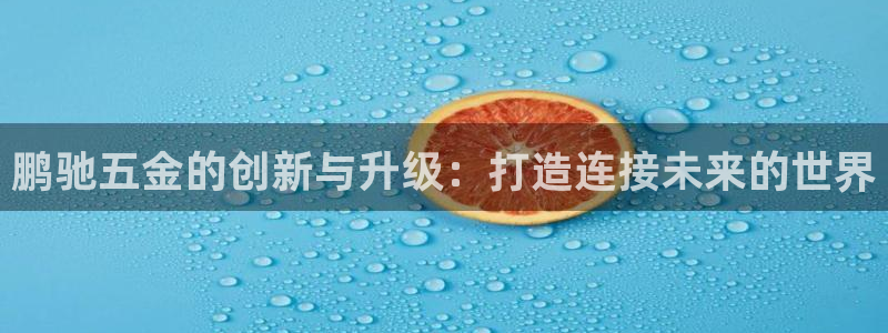 天狮娱乐负责人是