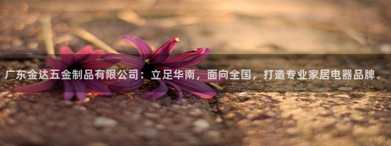 天狮学院娱乐设施