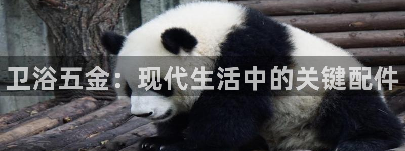 天狮娱乐资金安全吗