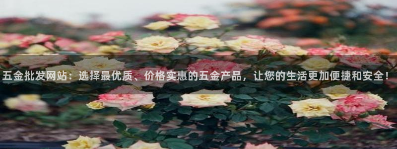 天狮娱乐主管82104