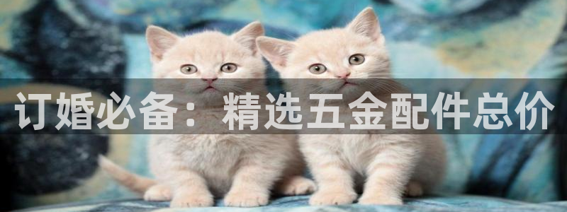 天狮娱乐怎么充钱