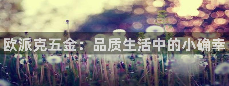 天狮娱乐招商80326