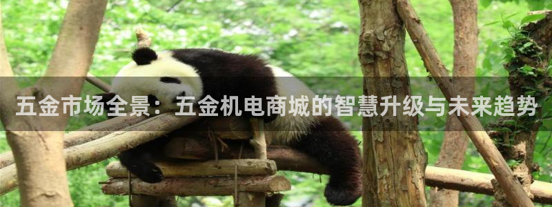 天狮娱乐是什么意思