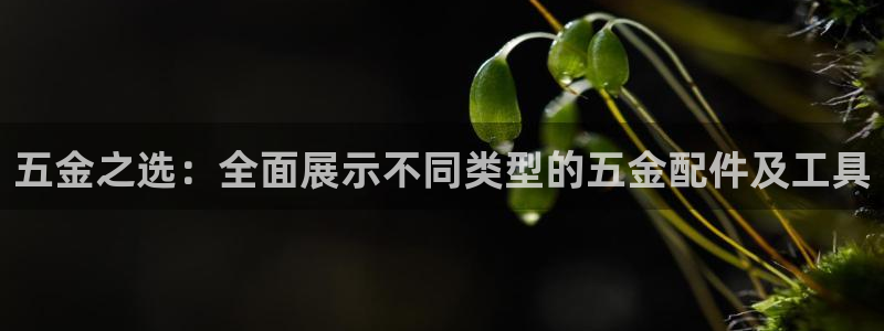 天狮娱乐 23976实z力