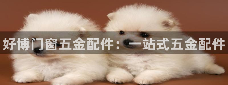 天狮娱乐是私人平台吗