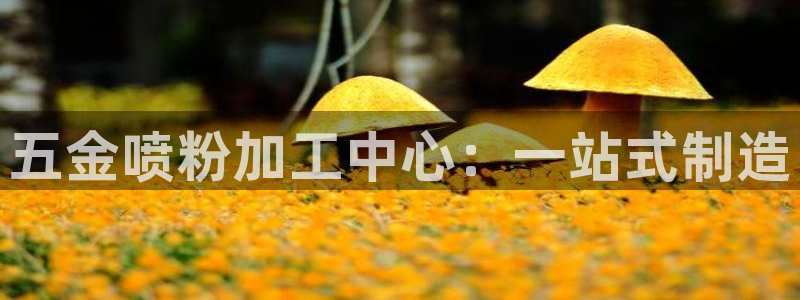 天狮娱乐真的吗