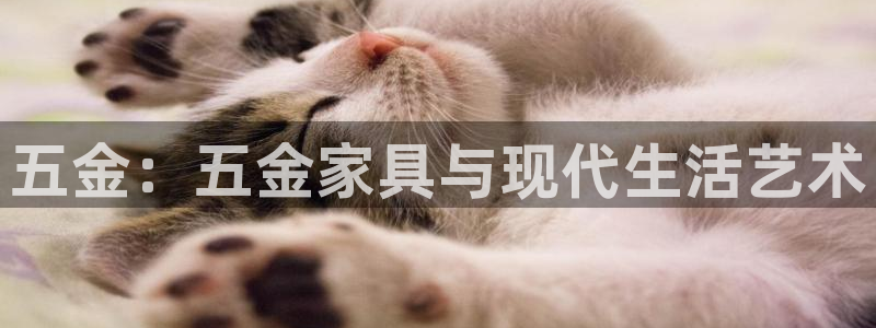 龙湖狮山天街娱乐