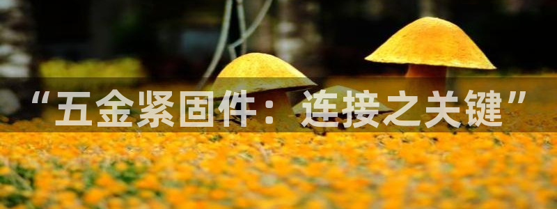 狮山天豪娱乐会所怎么样