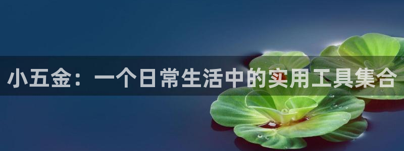 天狮娱乐平台代理